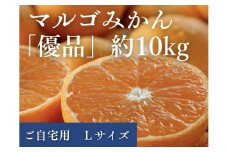 マルゴみかん（温州みかん） 優品 約10ｋｇ （Lサイズ） JA伊勢 ／ 家庭用 送料無料 産地直送 フルーツ 果物 ミカン 先行予約 三重県 南伊勢町