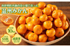 段々畑の減農薬 南伊勢町 みかん 10kg ／ 前田農園 温州みかん 有機肥料 三重県
