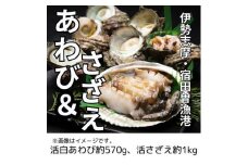 （冷蔵） 活あわび ＆ 活さざえ （A） ／ 丸池 アワビ 壺焼 さざえ 海鮮 海の幸 新鮮 三重県 南伊勢町 伊勢志摩