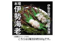 （冷凍） 伊勢志摩産 活〆伊勢海老 2尾 姿造り 生食用 （M） ／ 丸池 伊勢えび イセエビ 特産 三重県 南伊勢町 伊勢志摩