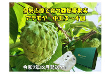 【予約注文/2025年12月より発送】 アテモヤ 中玉３～４個 約1.2kg 果物 くだもの フルーツ  期間限定 季節限定 森の アイスクリーム デザート ギフト プレゼント 贈り物 贈答 贈答用 三重県 伊勢 志摩 南伊勢町
