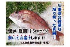 （冷蔵） 真鯛 捌いてお届け （ 三枚おろし スキンレス ） ／ マルカ水産 活〆 真空パック アラ お刺身 しゃぶしゃぶ お造り 煮物 お吸い物 縁起物 三重県 南伊勢町