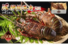 活 伊勢海老 ２尾入 約500g 厳選 えび 海老 ebi いせえび 伊勢 魚 魚介 海鮮 海産物 海 特産品 うま味 旨味 海の幸 アウトドア バーベキュー 刺身 炭火焼 味噌汁 鍋 ボイル エビフライ アレンジ可 産地直送 新鮮 絶品 海鮮 ギフト 贈答 産地直送 国産 丸池 三重県 伊勢 志摩 南伊勢