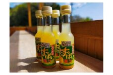 果汁 100％ こりゃすっぱい 150ml×4本 みかん ミカン 蜜柑 セミノール ストレート ストレート果汁 天然素材 調味料 焼き魚 焼肉 唐揚げ ポン酢 ないぜしぜん村 三重県 南伊勢町 内瀬 6000円 六千円