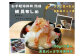 写真はイメージ写真となっています。