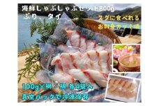 （冷凍） タイ ブリ カット済 海鮮 しゃぶしゃぶ 100g 各 4袋 計 800g ／ 伊勢志摩 城水産 まだい 真鯛 鰤 天然 スライス のっけ丼 お茶漬け 海鮮丼 豪快丼 産地直送