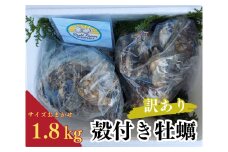 牡蠣 冷蔵 訳あり牡蠣 1.8kg かき 加熱用 殻付き 料理 カキフライ オイスター おつまみ お弁当 おかず 惣菜 グラタン BBQ バーベキュー ごはん 魚介 海鮮 お中元 お歳暮 牡蠣鍋 伊勢 志摩 三重県 南伊勢町 10000円 10000円以下 1万円以下