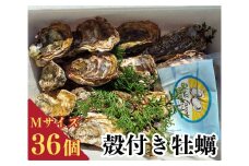 牡蠣 冷蔵 かき 36個 加熱用 殻付き Mサイズ 料理 カキフライ オイスター おつまみ お弁当 おかず 惣菜 グラタン BBQ バーベキュー ごはん 魚介 海鮮 お中元 お歳暮 牡蠣鍋 シェルファームみつなが 伊勢 志摩 三重県 南伊勢町 20000円 20000円以下 2万円以下