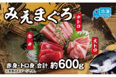 先行予約 マグロ 詰め合わせ 600g 本まぐろ 本鮪 刺身 刺し身 マグロ丼 海鮮丼 大トロ 中トロ トロ 赤身 国産 養殖 みえまぐろ 三重 南伊勢町 伊勢 志摩