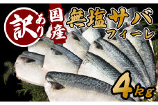 訳あり サバ 鯖 4kg バラ凍結 無塩 外湾漁業協同組合 国産サバ 国産鯖 無塩鯖 無塩サバ さば 簡単 保存 調理 焼き 簡易包装 わけあり 訳アリ 訳あり品 魚 魚介 海鮮 BBQ 加工品 国産 三重 南伊勢町 伊勢 志摩 1万円 10000円