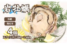 牡蠣 殻付き 岩牡蠣 XLサイズ 4個 計2.2kg～2.6kg 加熱用 濃厚 新鮮 養殖 牡蠣 カキ kaki 鍋 牡蠣鍋 カキフライ 牡蠣フライ BBQ キャンプ おいしい 伊勢志摩 三重 南伊勢町 シェルファームみつなが