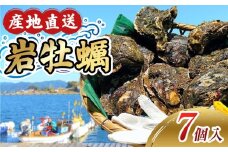 【冷蔵】牡蠣 岩ガキ 7ケ入 約2kg以上 カキ 岩牡蠣 いわがき 殻付き牡蠣 岩牡蠣セット 国産 海鮮 魚介類 貝 水産 冷蔵 フライ グラタン おかず 炊き込み ご飯 BBQ ギフト お中元 伊勢 志摩 三重県 南伊勢 20000円 20000円以下 二万円