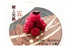 梅干し 小梅 田舎味 200g 2個 計 400g ないぜしぜん村 五ヶ所 梅干 無添加 樹上 完熟 とろける 塩分 18% うめ 梅 ume 手作り うめぼし 伊勢志摩 三重県 南伊勢町