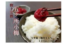 梅干し 手作り 計400g （100g×4個） うす塩 梅干 うめぼし うめ うめ干し 小梅 梅 ume 無添加 樹上 完熟 とろける 塩分 11% しそ ごはんのお供 ご飯 ごはん お米 米 ※ 茶漬け お茶漬け しょっぱい すっぱい 国産 ないぜしぜん村 五ヶ所 伊勢志摩 三重県 南伊勢町 6000円 6千円