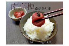 梅干し 小梅 南高梅 うす塩 200g 4個 計 800g  無添加 大粒 塩分 11% ないぜ しぜん村 ふるさと 納税 梅干し うめ 梅 ume 肉厚 手作り 小分け 伊勢志摩 三重県 南伊勢町