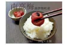 梅干し 小梅 南高梅 うす塩 200g 5個 計 1キロ 無添加 大粒 塩分 11% ないぜ しぜん村 ふるさと 納税 梅干し 1kg うめ 梅 ume 肉厚 手作り  うめぼし 伊勢志摩 三重県 南伊勢町