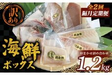 2ヶ月毎 定期便 訳あり 海鮮 ボックス 1.2kg セット 隔月 全2回 冷凍 真空パック おまかせ マグロ まぐろ 鮪 生まぐろ 鯛 たい かんぱち 勘八 シマアジ ヒラマサ 平昌 新鮮 魚 魚介 海鮮 海産物 海 特産品 海の幸 産地直送 国産 三重県 南伊勢 伊勢 志摩 城水産 