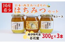 はちみつ 百花蜜 Ｂセット 300g×3本 セット 日本みつばち 西洋みつばち 非加熱 日本ミツバチ 保存 備蓄 防災食 非常食 保存食 国産はちみつ はちみつ 蜂蜜 純粋はちみつ 蜜 ハニー honey ニホンミツバチ 日本蜜蜂 家庭用 自宅用 産地直送 国産 朝食 おやつ 伊勢 志摩 三重県 南伊勢町 ユタカ養蜂