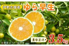 ゆら早生みかん 3.5kg みかん 期間限定 ミカン 蜜柑 温州みかん 柑橘 mikan フルーツ くだもの 果物 かんきつ 食品 農家直送 伊勢志摩産 三重県 南伊勢町 土実樹農園 1万円台 2万円以下 10000円台 20000円以下 一万円台 二万円以下