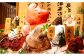 夕食イメージ