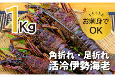 伊勢えび（活冷）2～7尾（1.0kg）バタバタしたら角と足がとれちゃいました　〈訳あり〉おせち お歳暮  刺身 天然 お祝い 海鮮 魚介 BBQ バーベキュー みそ汁【CC21】