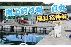 海上釣り堀貞丸の無料招待券【P02】