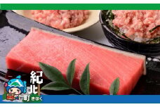 本マグロの中トロ200gの柵とネギトロ100g×4パック 〈おすすめマグロ 返礼品〉【BB05】