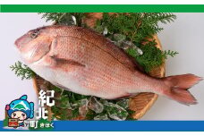 食えばわかる！こだわり抜いた養殖真鯛 〈お刺身 しゃぶしゃぶ 塩釜焼きがおすすめ〉【AA17】