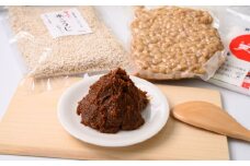 河村こうじ屋の手作り味噌キット〈加熱処理済大豆使用〉【AA36】