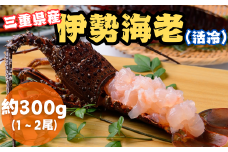 伊勢えび（活冷）約300g〈三重県紀北町の人気返礼品〉おせち お歳暮  刺身 天然 お祝い 海鮮 魚介 BBQ バーベキュー みそ汁【AA57】
