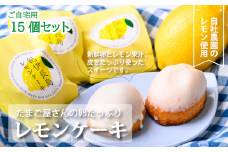 「紀伊長島レモンケーキ」15個入り(ご自宅用) 卵卵ふわぁ～む【RA09】