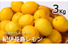 自社農園で育てた「紀伊長島レモン」3Kg【10月中旬から順次発送】【RA14】