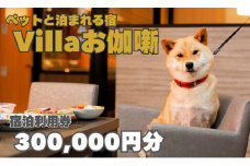 【ペットと泊まれる宿】Villaお伽噺　宿泊利用券〈300,000円分〉[vo06]