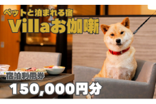 【ペットと泊まれる宿】Villaお伽噺　宿泊利用券〈150,000円分〉[vo05]