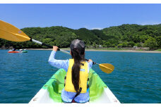 キオラパドル〈Kiaora Paddle〉カヤック・SUP【半日ツアー利用券】1名様　[KP02]