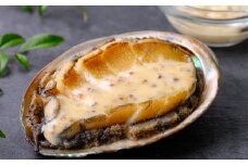 あわびステーキ【ハニーマスタードソース添え】〈湯せんでOK！すぐ食べられる〉3個(100g×3)セット〈㈱丸寿海産〉［MH09]　