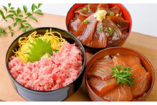 黒潮育ちの魚を厳選！マグロとカツオの新鮮丼ぶりセット〈ネギトロ・漬け鰹・漬けマグロ〉【KN10】