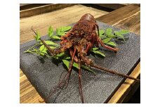 【炭火割烹 稲米舎】旬の地元食材を店主が目の前で紀州備長炭にて焼き上げ、さらに旬の贅沢な一品が味わえる『店主こだわりコース』〈15,000円分〉お食事券１名様分