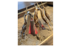 【炭火割烹 稲米舎】旬の地元食材を店主が目の前で紀州備長炭にて焼き上げる『炭火割烹コース』〈12,000円分〉お食事券１名様分
