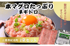 本マグロたっぷりネギトロ２袋(100ℊ×2)【KN21】