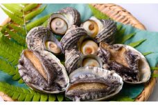 あわび＆さざえ セット（あわび 3枚 約210g、さざえ 3～6コ 約380g）〈上保商店〉魚介類 BBQ食材 [US02]