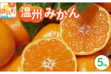 丸安青果の御浜温州みかん5キロ（家庭用) 【果物 フルーツ みかん 温州みかん 5kg 三重県 御浜町】