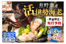 文恵丸水産の熊野灘産活伊勢海老　豊漁コース 3～7尾 約1.3kg前後【魚介 伊勢海老 伊勢えび 海老 えび 活き 三重県 御浜町】