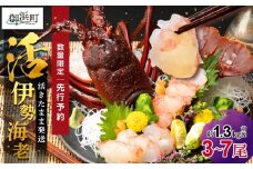 文恵丸水産の熊野灘産活伊勢海老　豊漁コース 3～7尾 約1.3kg前後【魚介 伊勢海老 伊勢えび 海老 えび 活き 三重県 御浜町】