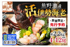 文恵丸水産の熊野灘産活伊勢海老　大漁コース 4～12尾 約2.2kg前後【魚介 伊勢海老 伊勢えび 海老 えび 活き 三重県 御浜町】
