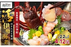 文恵丸水産の熊野灘産活伊勢海老　大漁コース 4～12尾 約2.2kg前後【魚介 伊勢海老 伊勢えび 海老 えび 活き 三重県 御浜町】