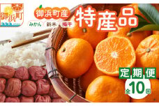 丸安青果の御浜町産特産品（全10回）【定期 定期便 10回 果物 フルーツ みかん 米 お米 梅干し 梅干 三重県 御浜町】