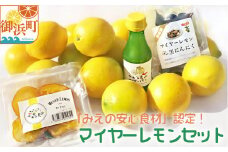 たかみ農園マイヤーレモンセット【希少 国産 レモン マイヤーレモン ドライフルーツ 黒にんにく レモン果汁 セット 詰め合わせ 三重県 御浜町】