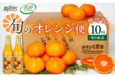 かきうち農園のオレンジ便（全10回）【果物 フルーツ みかん オレンジ デザート みかんジュース オレンジジュース 定期便 定期 10回 三重県 御浜町】