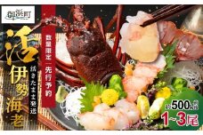 文恵丸水産の熊野灘産活伊勢海老　御浜コース 1～3尾 約500g前後【魚介 伊勢えび 伊勢海老 海老 えび 活き 三重県 御浜町】